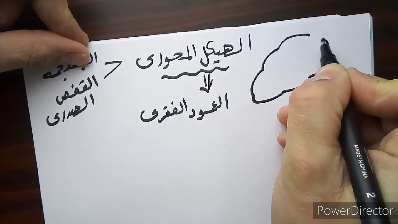 فهم الدعامة والحركة فى دقائق تالتة ثانوى احياء#الدعامة_والحركه