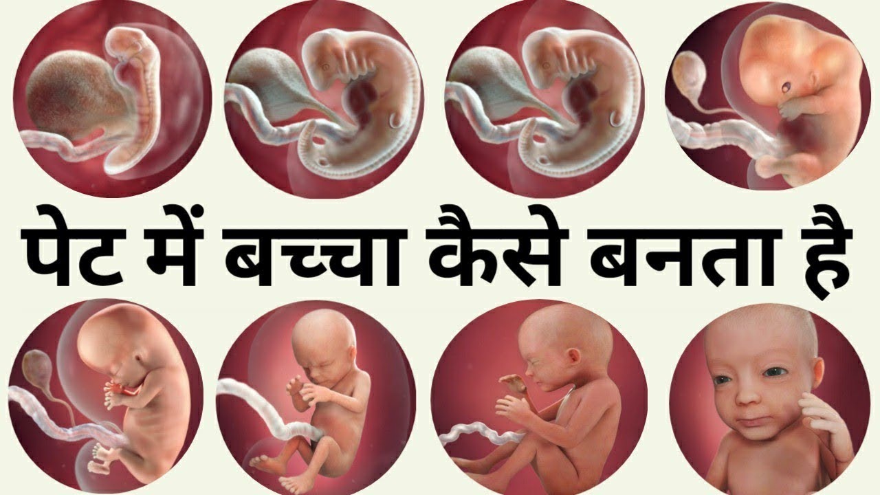 पेट में बच्चा कैसे बनता है - 1 to 9 month of baby growth during Pregnancy