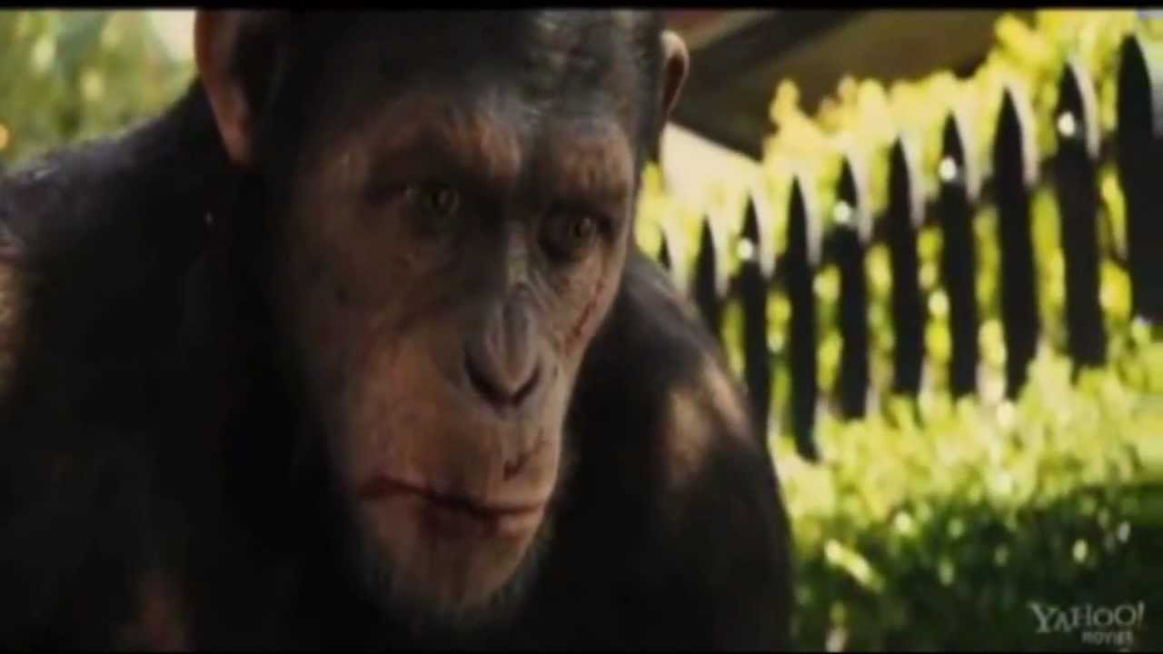 RISE OF THE PLANET OF THE APES MUSIC VIDEO (UNTAMMED GORILLA )