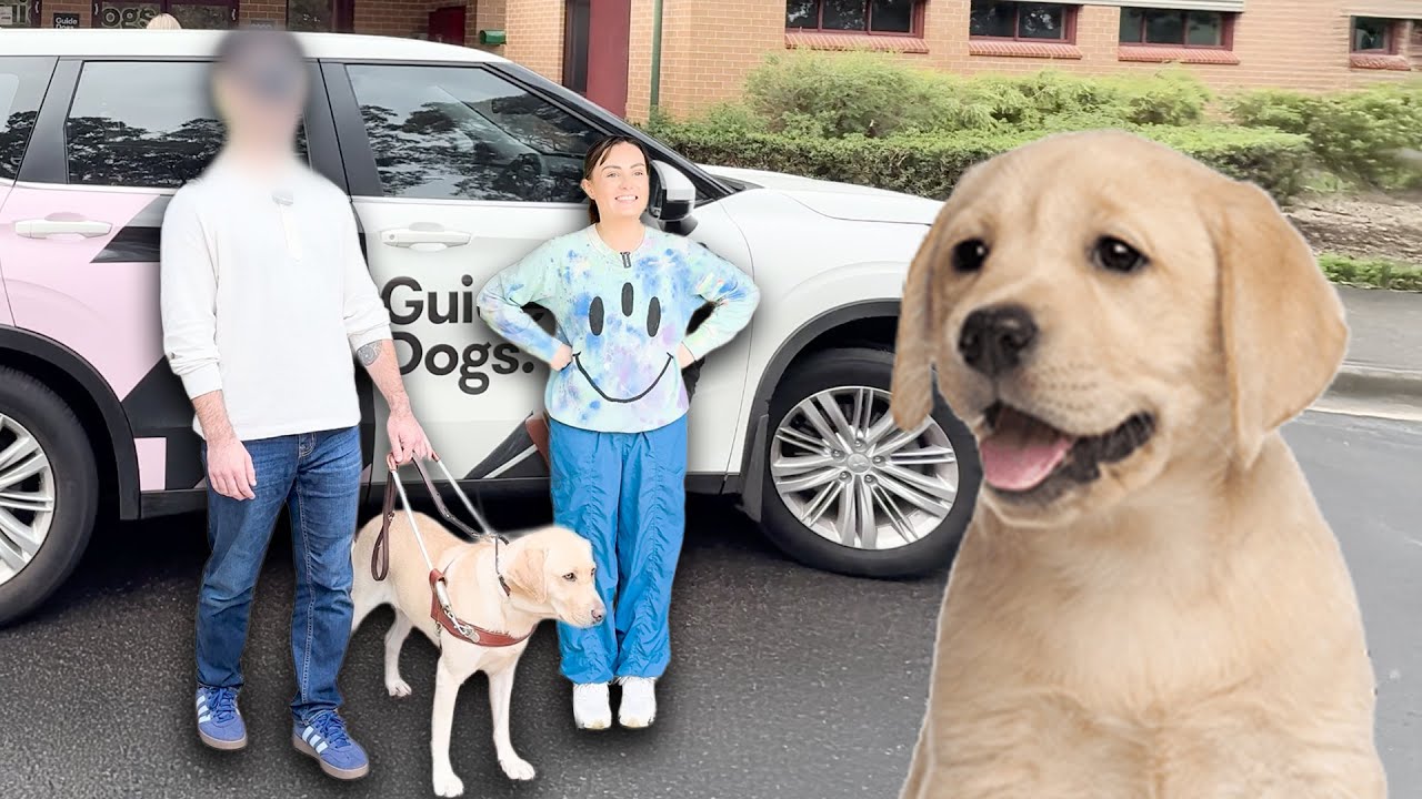 My Boyfriend Tried Walking with a Guide Dog for the First Time! (blindfolded challenge)
