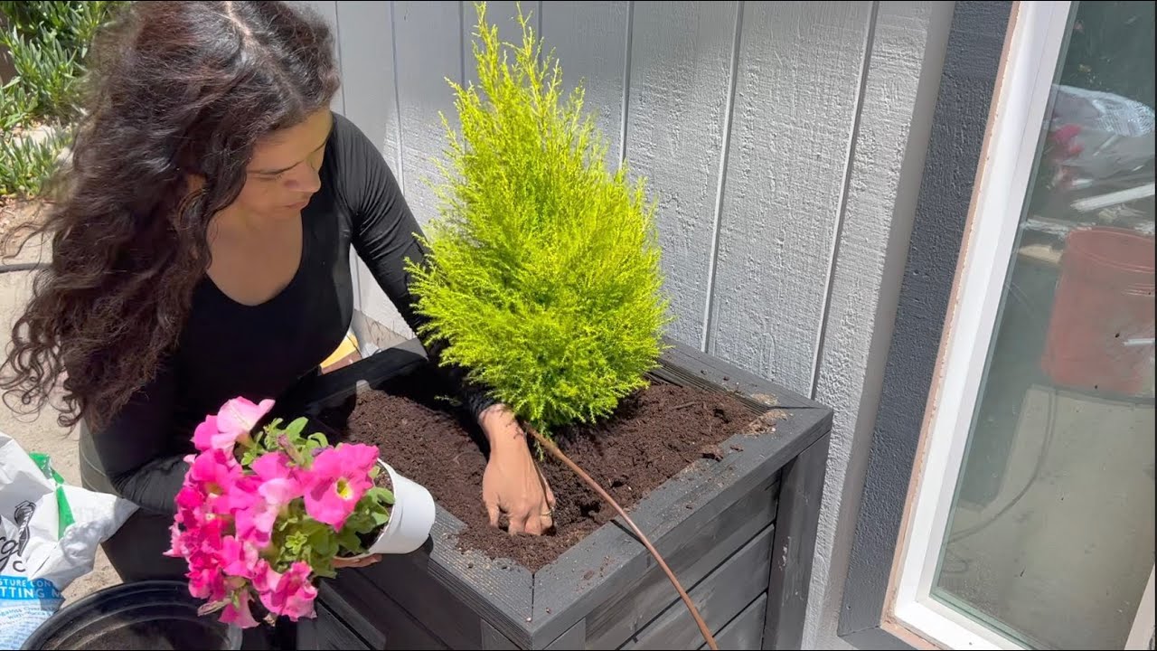 Plantando Flores en las Macetas en Frente de la Casa! 💚🙌🌿 // Nuestro Jardin
