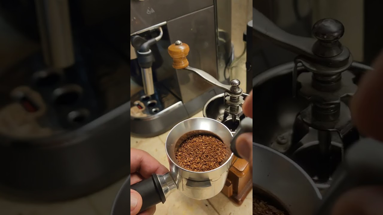 Trying out Civet (Alamid) Coffee for first time