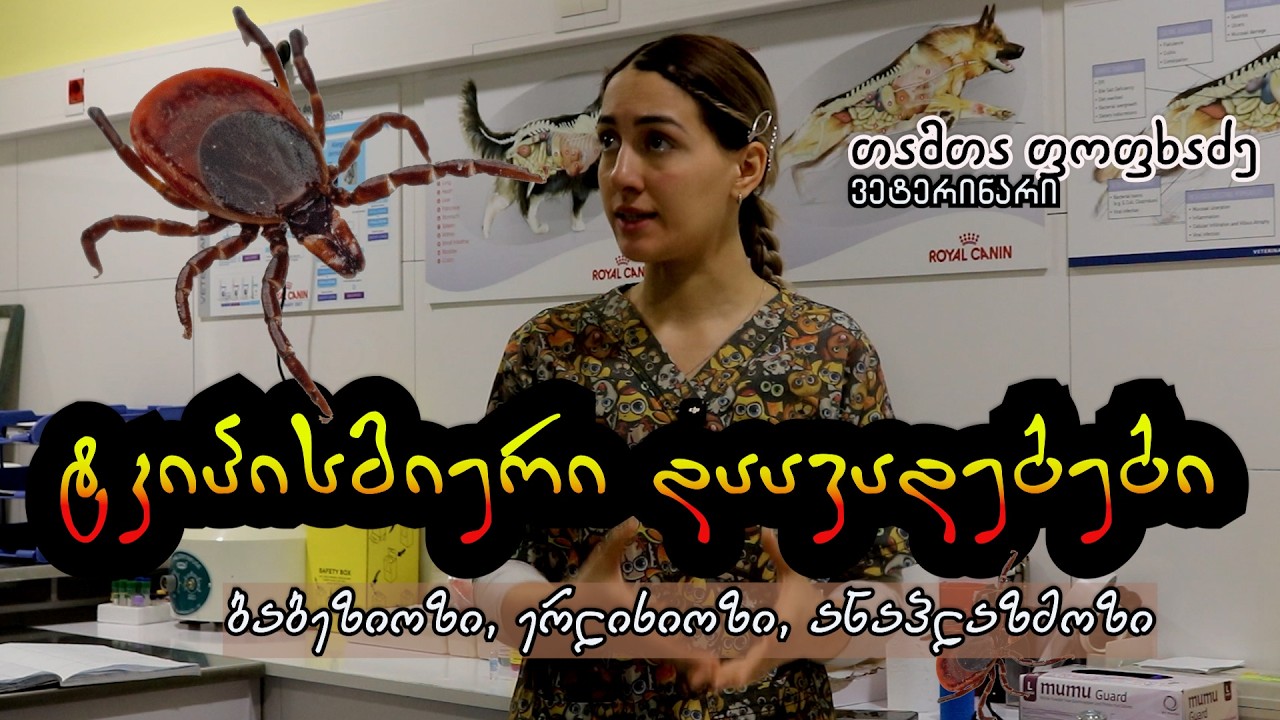 ტკიპისმიერი დაავადებები (ბაბეზიოზი, ერლიხიოზი, ანაპლაზმოზი)