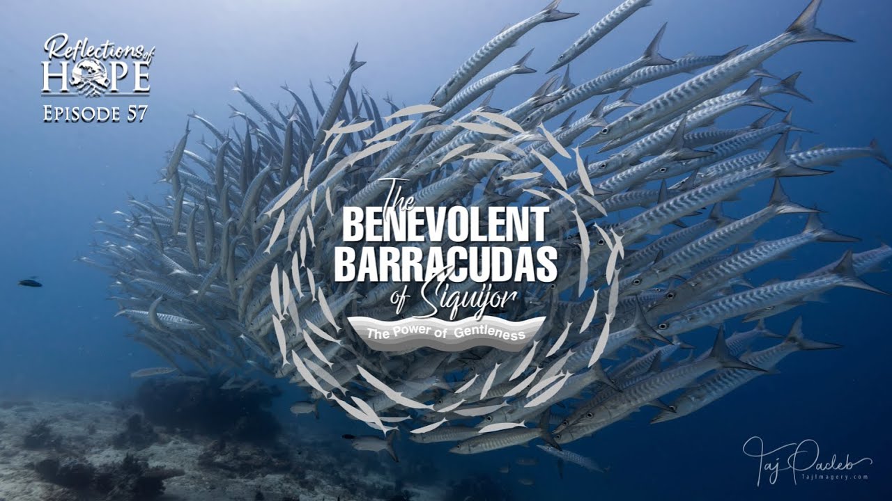 Reflection of Hope Episode 57: The Benevolent Barracudas of Siquijor |Taj Pacleb