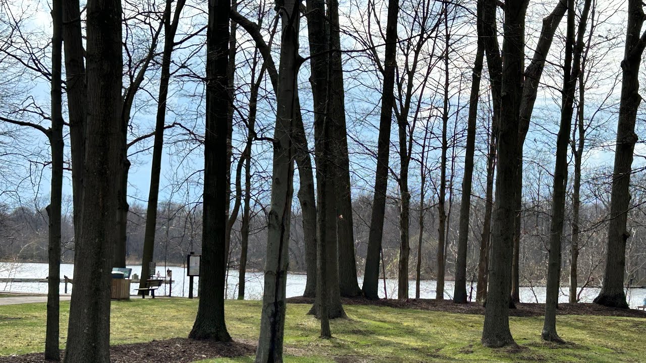 New spot Skok Meadow with my dog #vlog #video #yt #travel #beautiful #travel 