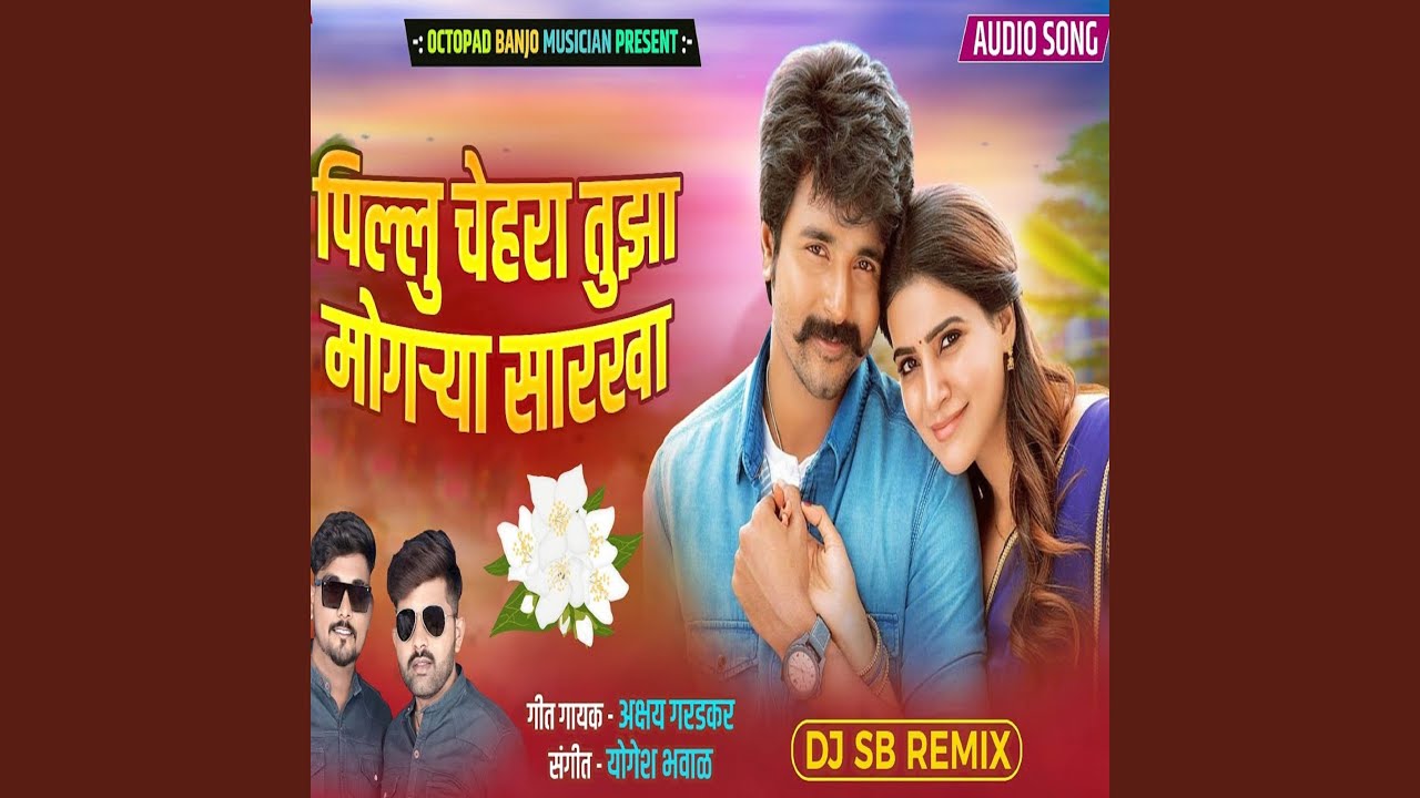 Pillu Tuza Chehara Mogarya Sarkha