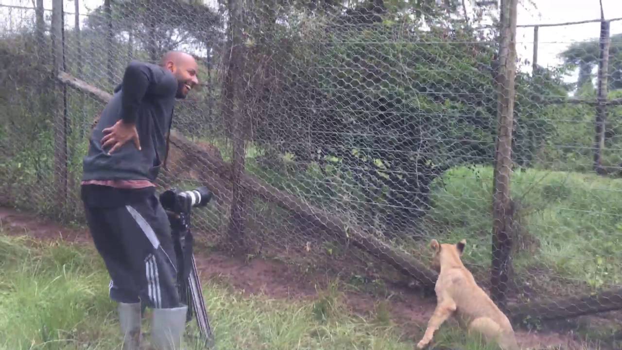 Ethiopian Wildlife