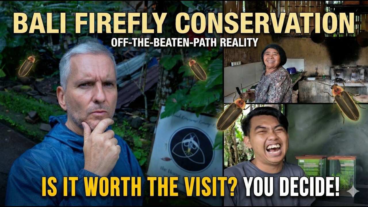 Fireflies in Bali ... An off-the-beaten-track firefly conservation site