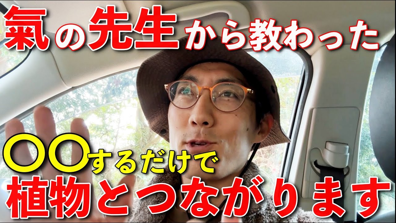 氣の先生に聞いた！〇〇すると植物と人はつながるという話