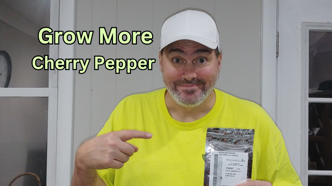How to Grow Red Hot Cherry Pepper from Seed  : Beginner's Complete Guide