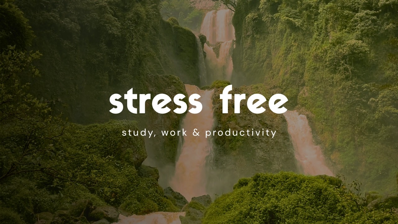 Focus Music for Work & Studying 📚 Deep Focus Study Work Concentration 🌿 Study Music