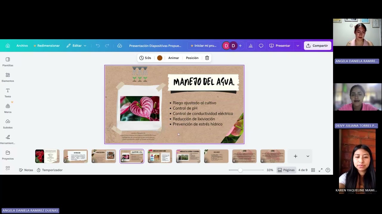 Sustentación Reto 2 Caracterización del manejo en cultivos sin suelo 20260306 173145 Grabación de la
