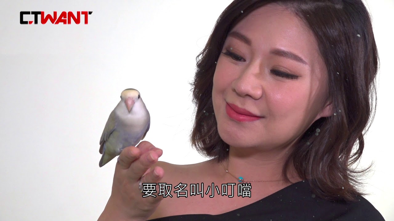 CTWANT 寵物情緣》周明璟　甘願受鳥氣