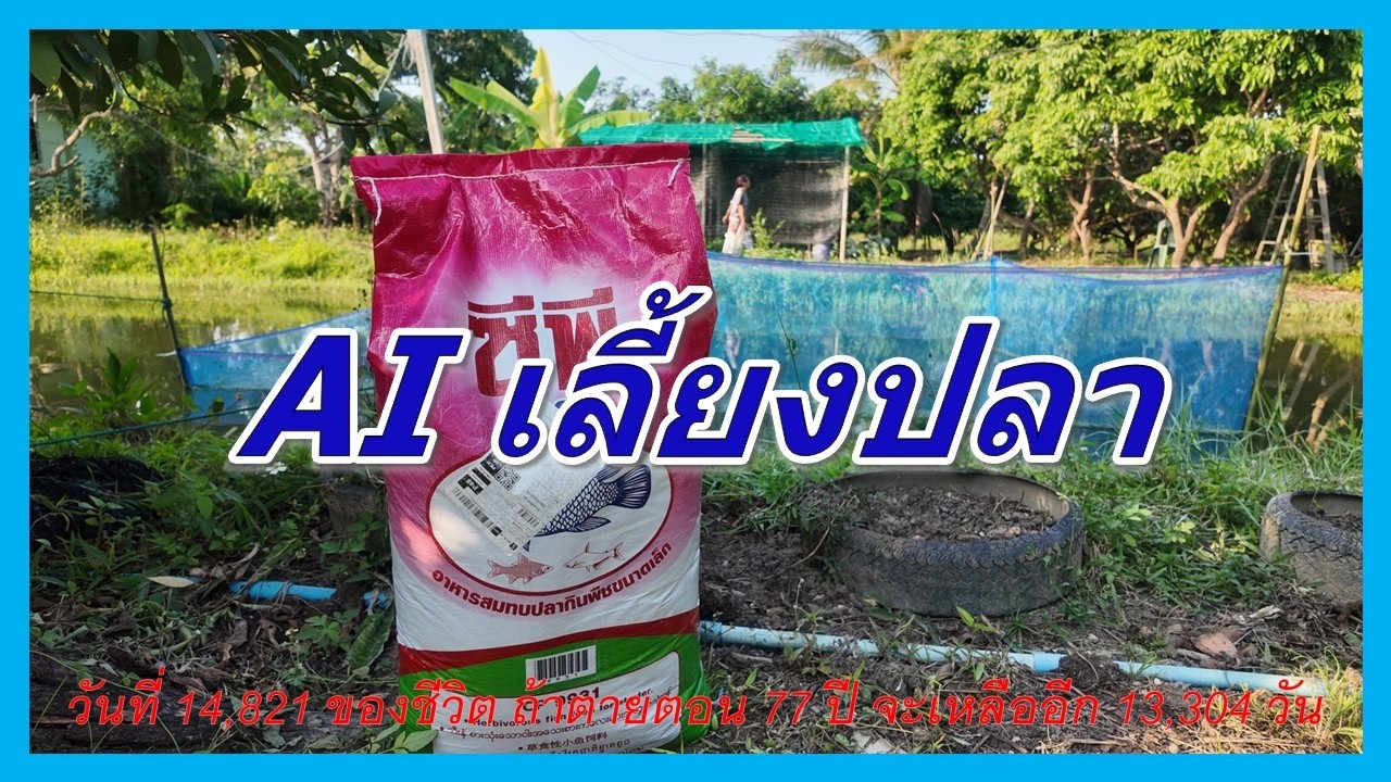 ให้อาหารปลานิลครั้งแรก! ไม่เคยเลี้ยงเลย ใช้ ChatGPT สอน จะรอดไหม?