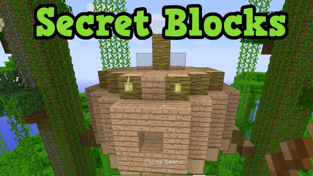 Minecraft Xbox 360 / PS3 - Secret Building Blocks