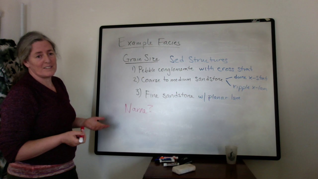 Facies - Examples (sed strat)