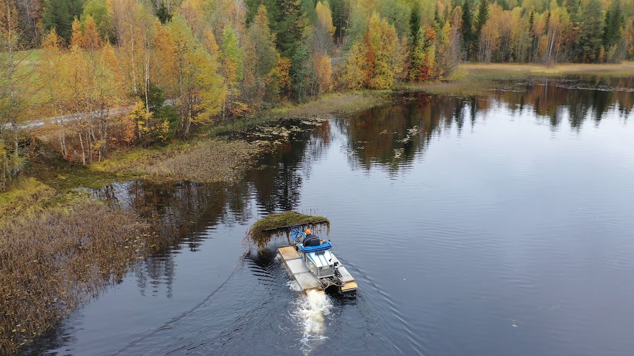 4K | Truxor with Reed Rake in small lake