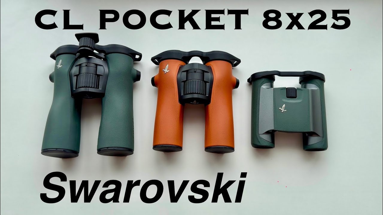 Бинокль Swarovski CL POCKET 8x25