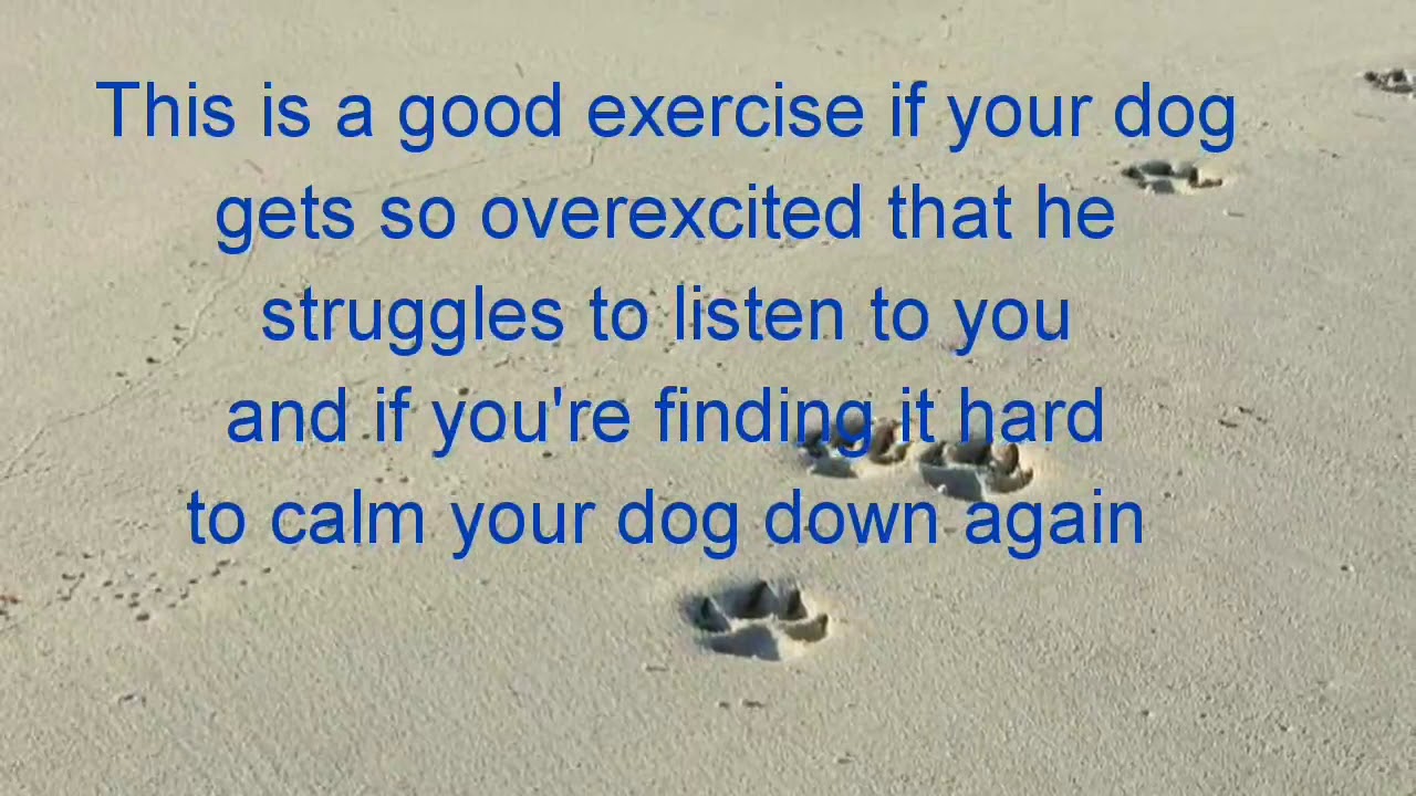 Jumpy to calm - Arousal Mobility exercise for overexcited dogs