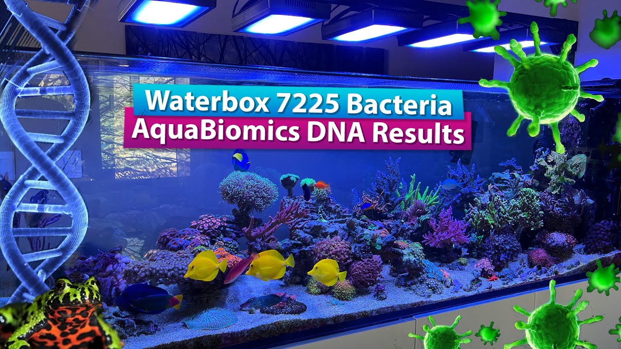 DNA Microbiome Reef Tank Test Results are in! With Aquabiomics