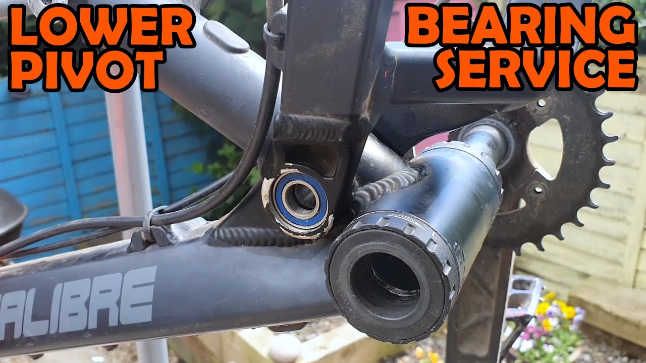 Calibre Bossnut Basics Lower Pivot Bearing Service