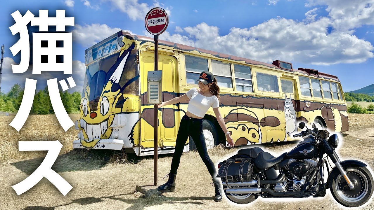 【トトロ好き必見】北海道に現れた超巨大猫バス！！【女性ライダーモトブログ】北海道・トトロ峠