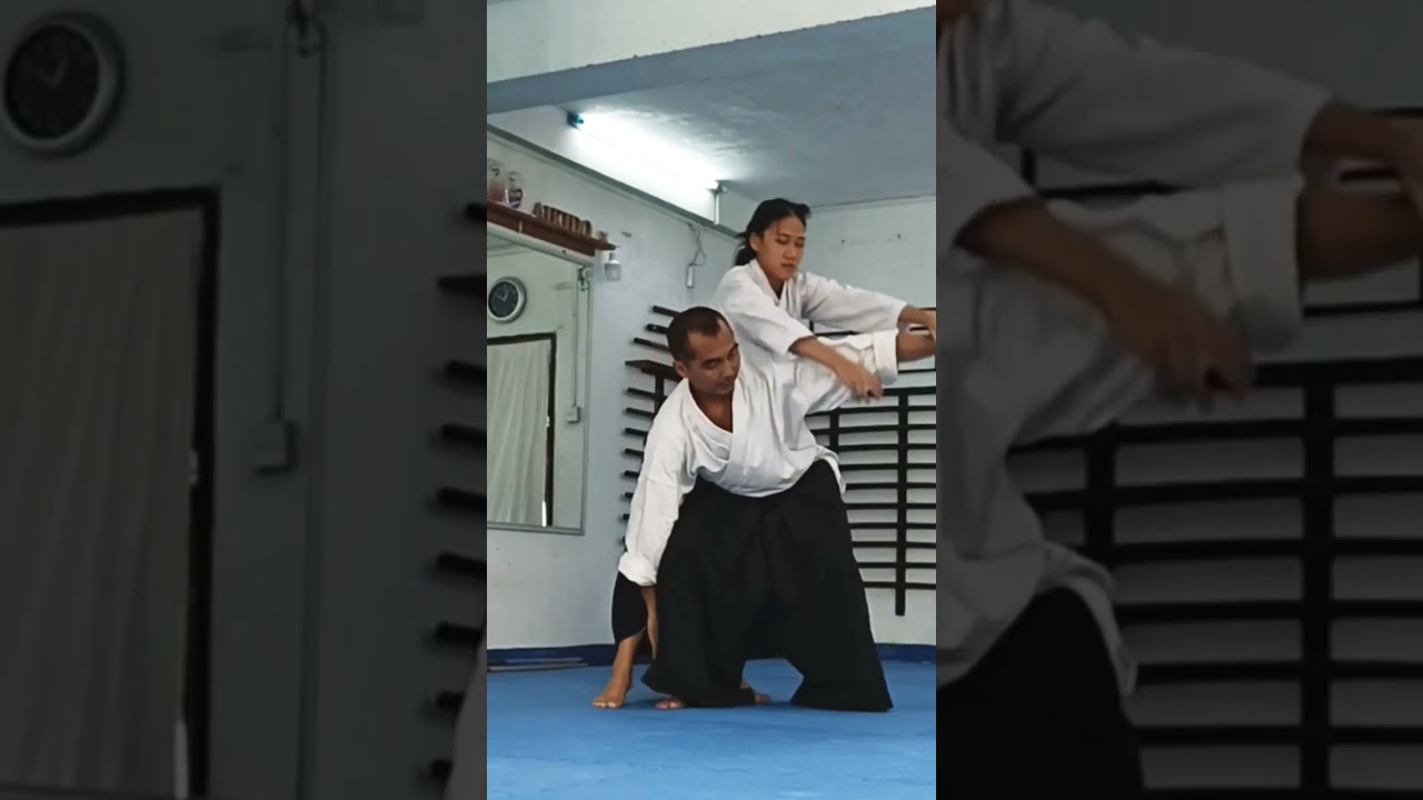 Aikido / Koshi Nage