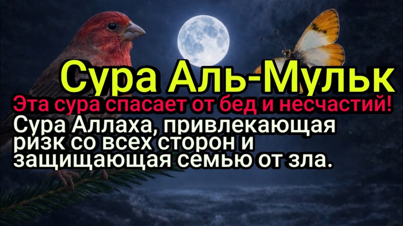 Сура, которая притягивает ризк со всех сторон и оберегает вашу семью от любого зла