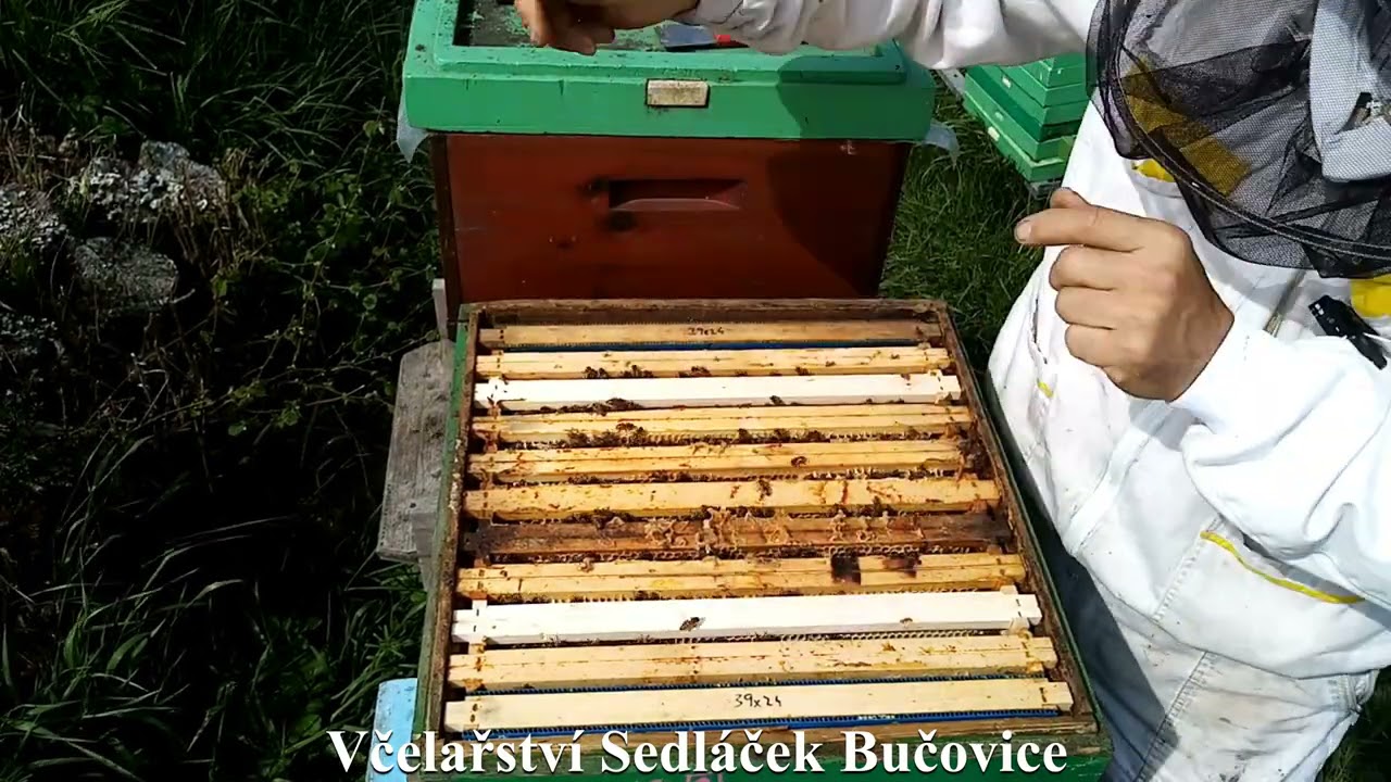 94/21 Rozšiřování včelstev mezistěnami různé varianty 2/2. Včelařství Sedláček