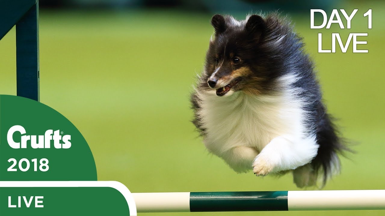 Day 1 Live Stream | Crufts 2018