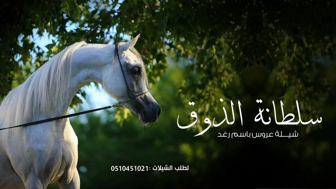 شيلة عروس باسم رغد || سلطانة الذوق واجمل بنت بالعيلة || شيلات عروس باسم رغد 2026ح