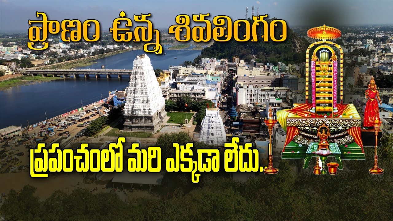 ప్రపంచంలోనే ప్రాణమున్న శివలింగం మీకు దగ్గరలోనే ఉంది | famous temple in andhra #mahashivratri2025