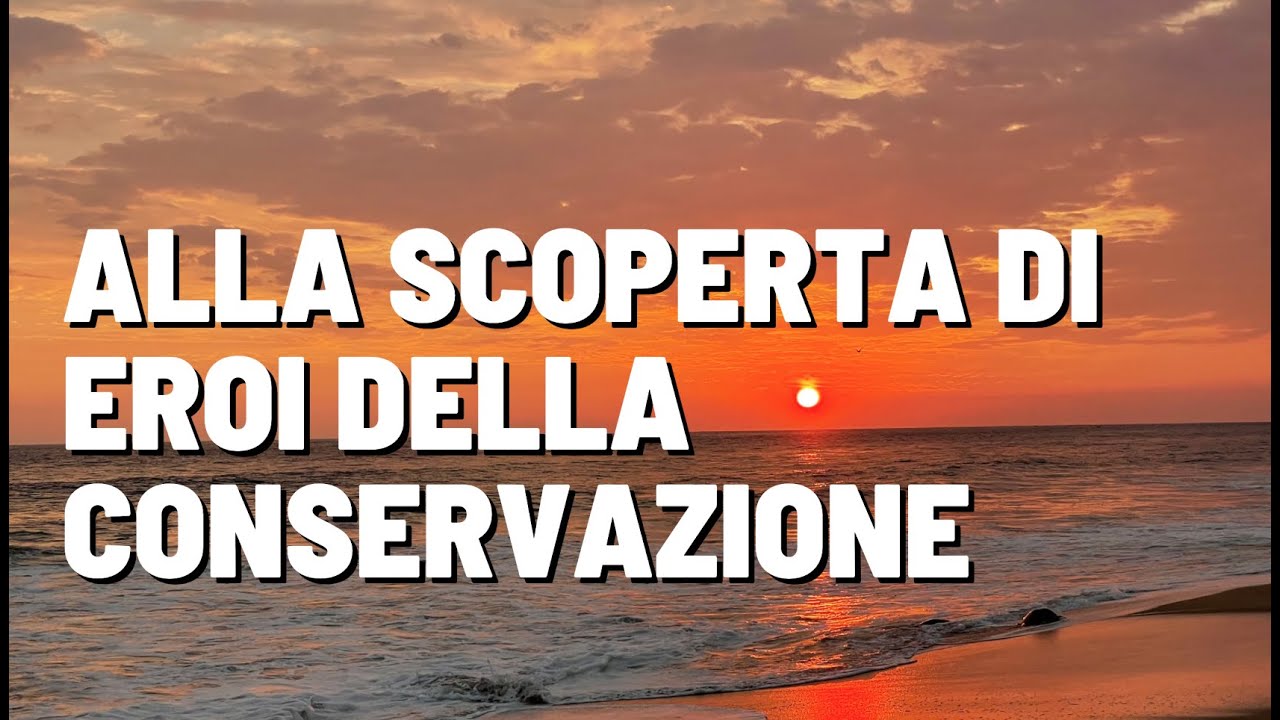 VIAGGIO ALLA RICERCA DI EROI DELLA CONSERVAZIONE 👊
