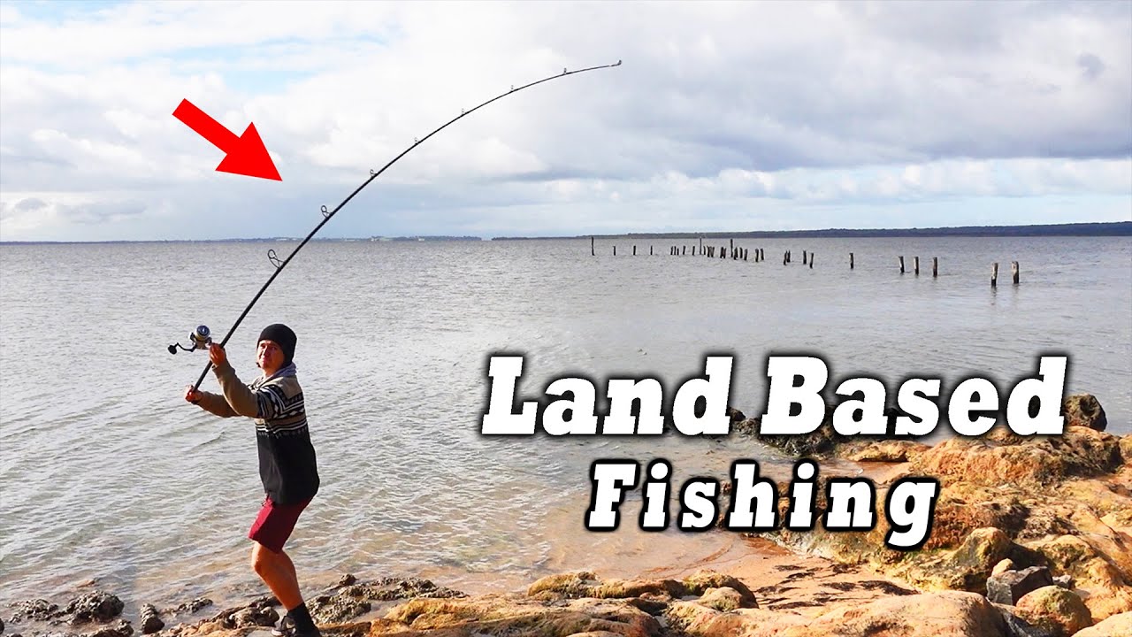 How To Catch Fish Land Based!! (Snapper and Gummy Shark Basics)