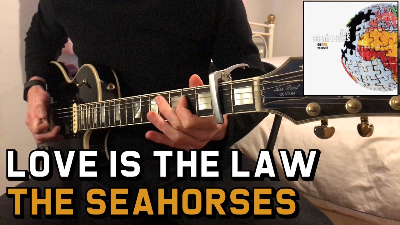 The Seahorses - Love Is The Law (Outro Guitar Solo) Cover