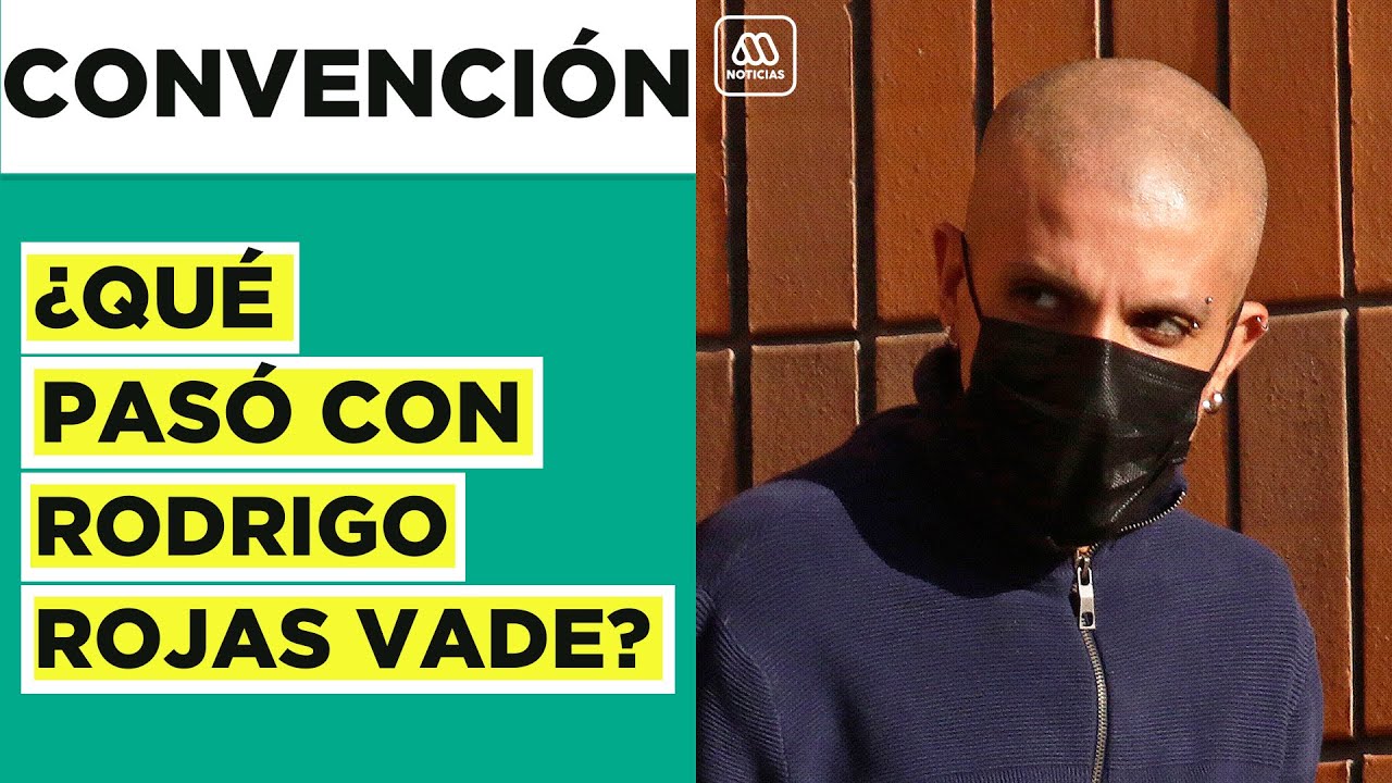 &iquest;Qu&eacute; pas&oacute; con Rodrigo Rojas Vade? A cuatro meses de su renuncia de la Convenci&oacute;n
