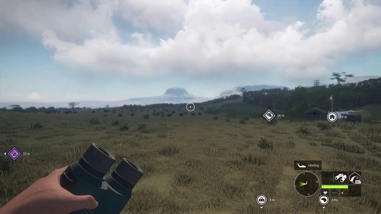 Hunting for a albino alligator