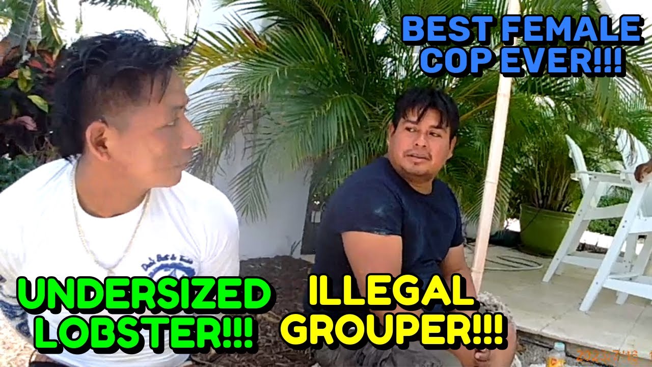 Busted for Illegal Lobster and Grouper - Monroe County, Florida - July 16, 2023