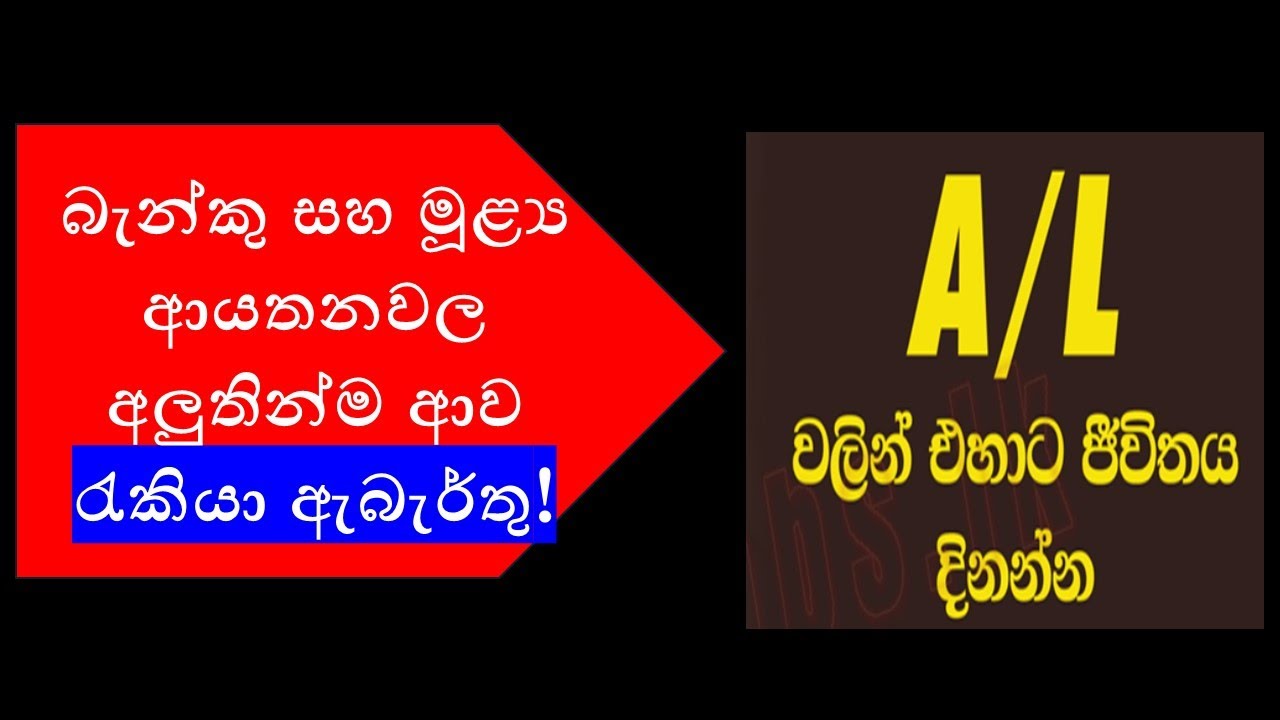 Latest Banking & Finance Entry-Level Job Opportunities in Sri Lanka 2025 | Freshers Apply Now!