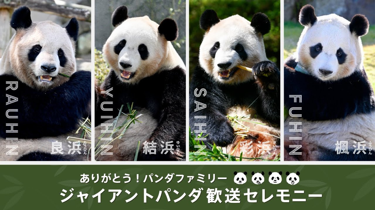 【アーカイブ配信】ありがとう！パンダファミリー　ジャイアントパンダ歓送セレモニー