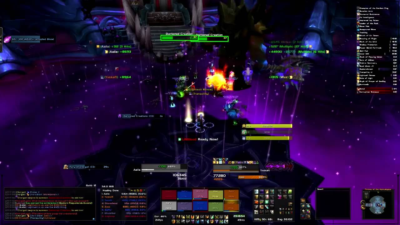 BOT 10 - Haven vs. Cho'gall (Shaman/Priest/Druid POV)