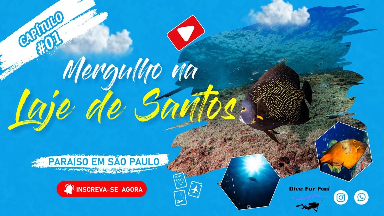 Mergulhos na Laje de Santos em 10 de maio 2025 - @Diveforfun