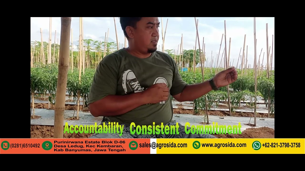 Hasil Efikasi Produk PT Agrosida Selaras Bersama