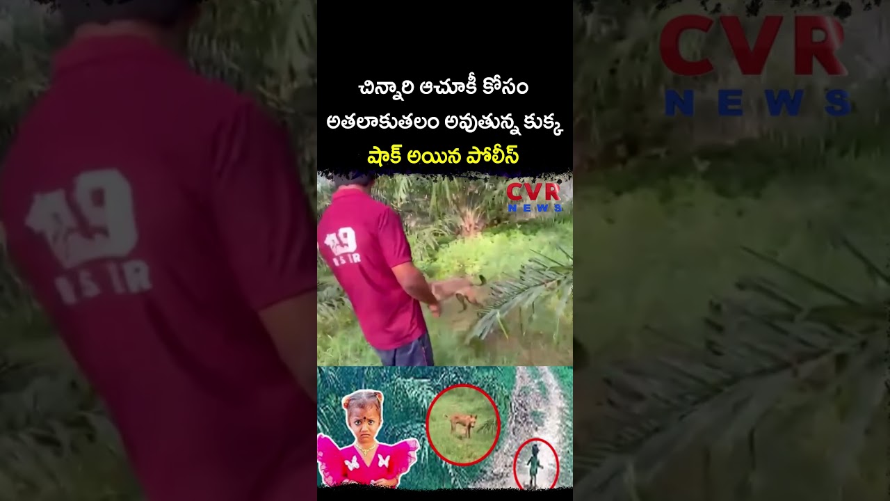 చిన్నారి ఆచూకీ కోసం అతలాకుతలం అవుతున్న కుక్క షాక్ అయిన పోలీస్ | Gnaneshwari Missing Case | CVR NEWS