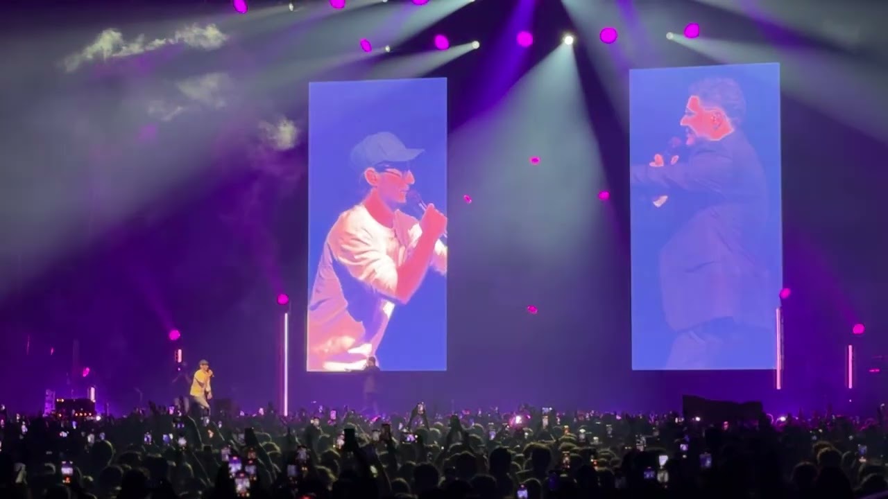 Pierre Niney & Loris Giuliano The Accor Arena Show (clip)