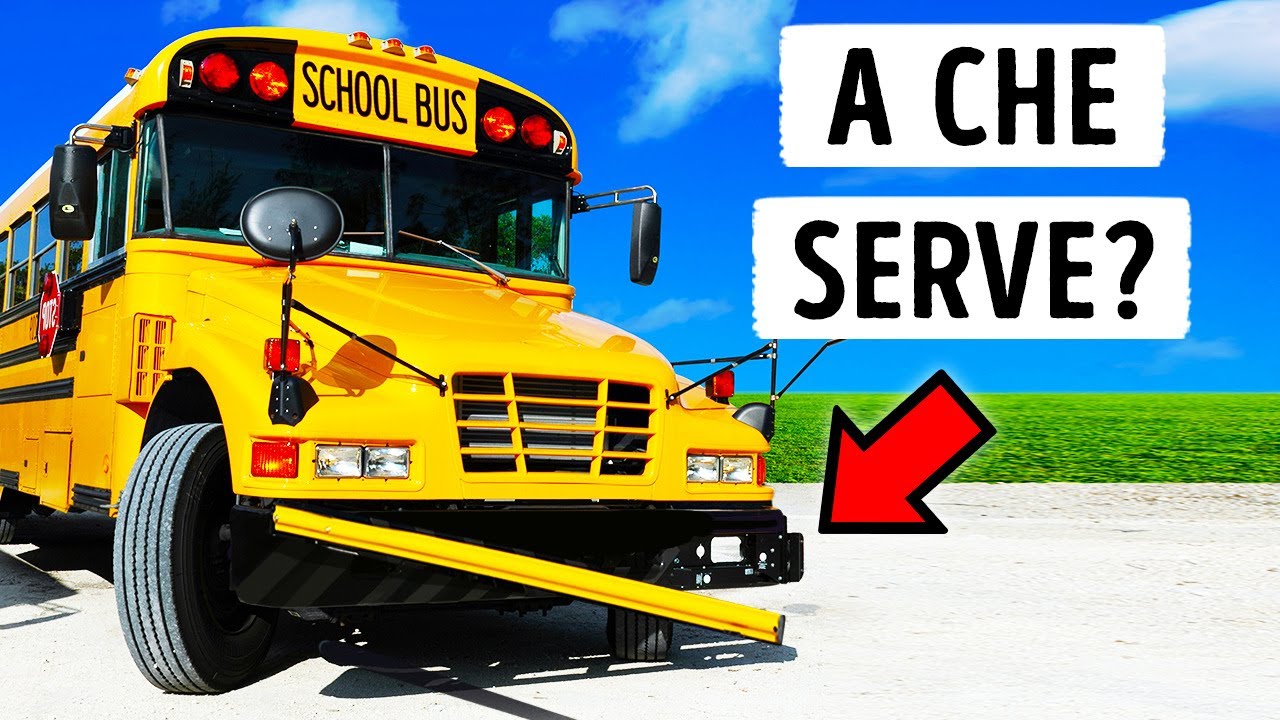 A Che Serve la Lunga Barra degli Scuolabus