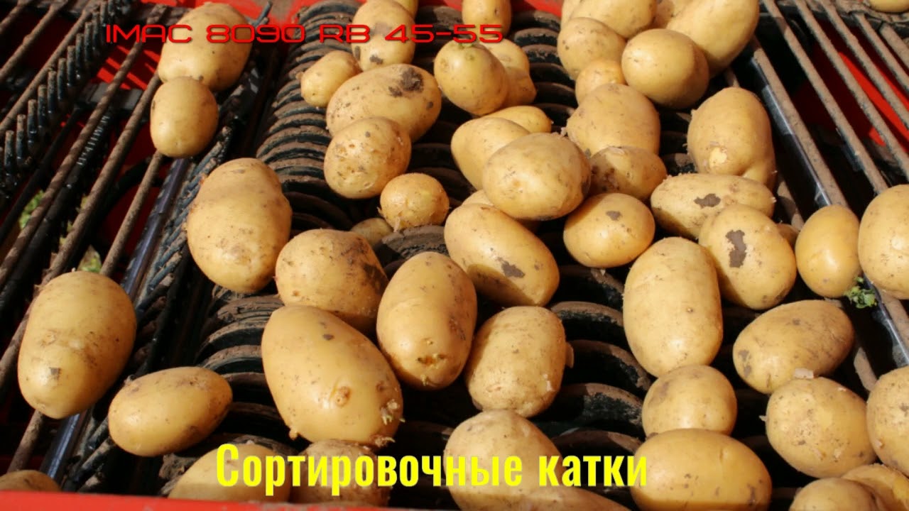 8090 RB45-55 РАБОТА НА ТЯЖЁЛЫХ ПОЧВАХ