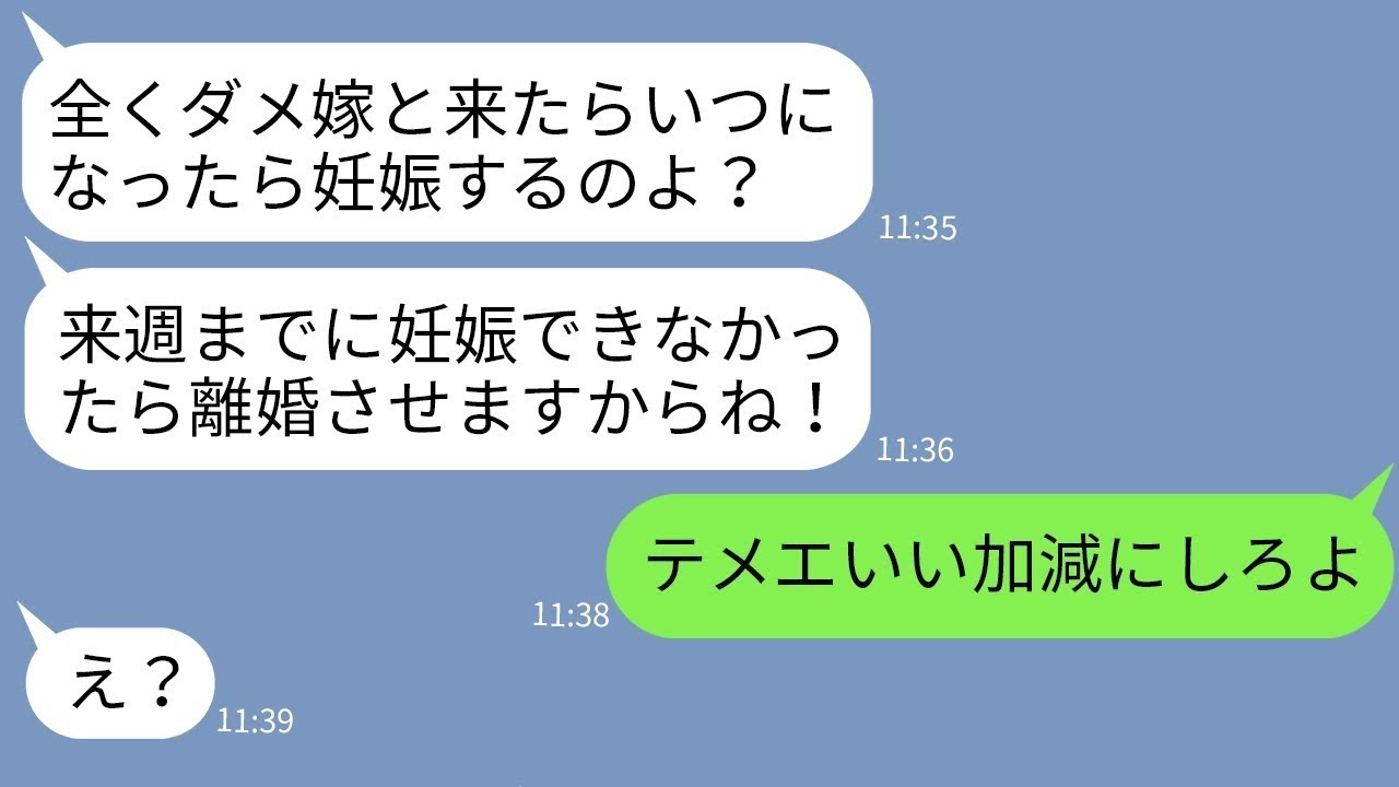 【LINE】毎日妊娠確認の連絡をしてきて嫁の私をノイローゼに追い込んだ姑「子供産めない役立たずは離婚！」 →...【修羅場】