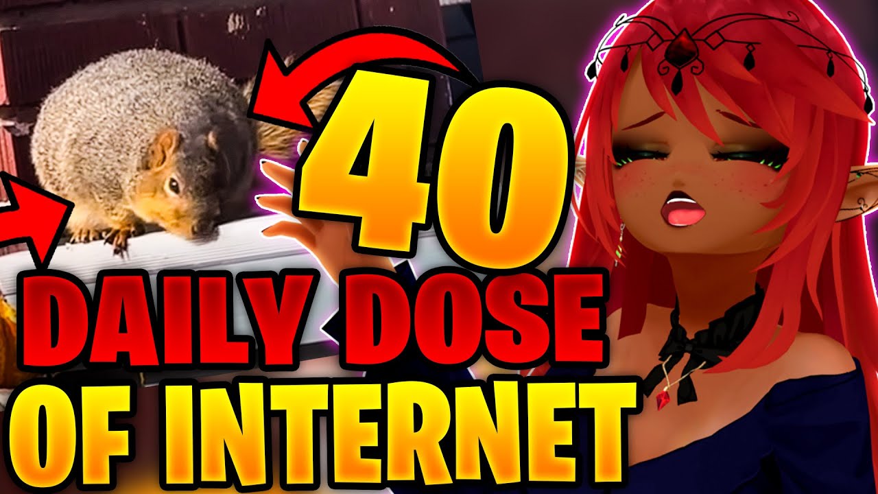 CHONKYYYYY!! | Daily Dose of Internet Reaction