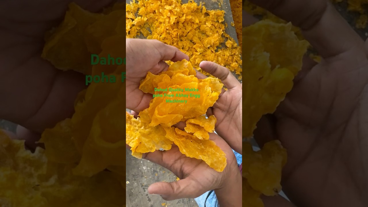 Dahod Quality Makka poha By Abhay Engineering Machinerys #maizeflakes #snacks@ajitabhayboilers